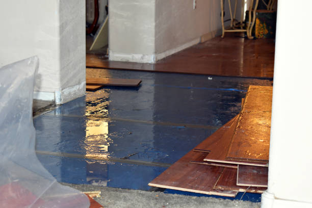 Professional Burst Pipe Cleanup technician working in Brooksville, MS